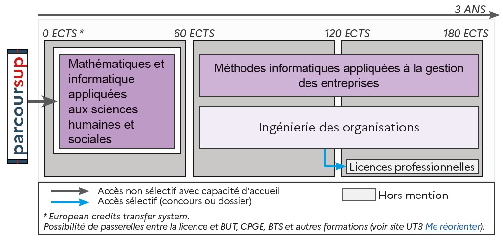 ODF 2024-2025_Mention LicMiashs_SCHEMA_SCUIO